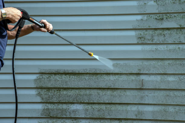 Best Brick and Stone Cleaning in Santa Anna, TX